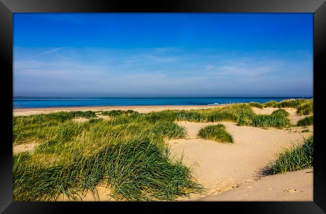 Sandy dunes of Northumberland Framed Print by Naylor's Photography