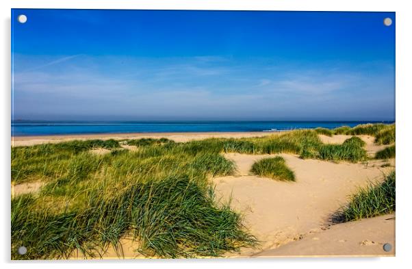 Sandy dunes of Northumberland Acrylic by Naylor's Photography