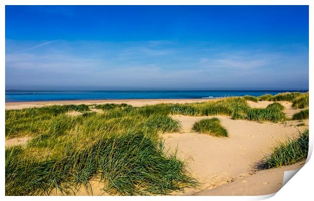 Sandy dunes of Northumberland Print by Naylor's Photography