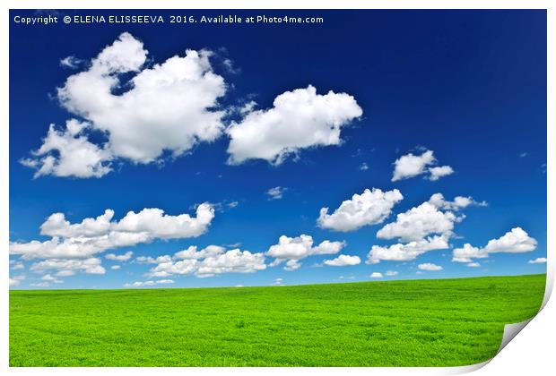 Green rolling hills under blue sky Print by ELENA ELISSEEVA
