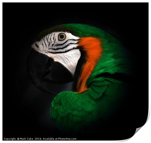 Green and Gold macaw portrait Print by Mark Cake