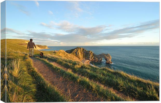 Dog walking along the cliff tops above Durdle Door Canvas Print by Shaun Jacobs