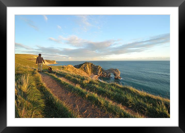 Dog walking along the cliff tops above Durdle Door Framed Mounted Print by Shaun Jacobs