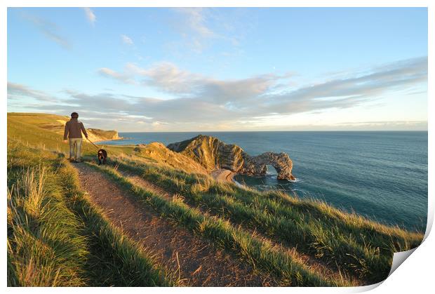 Dog walking along the cliff tops above Durdle Door Print by Shaun Jacobs