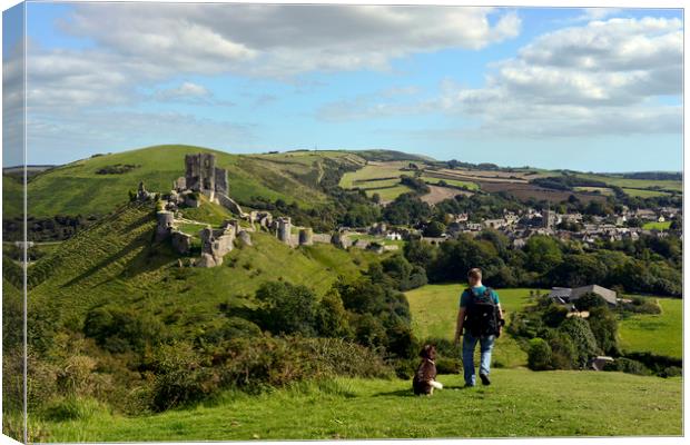 Dog walking in the hills by Corfe castle  Canvas Print by Shaun Jacobs