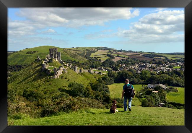 Dog walking in the hills by Corfe castle  Framed Print by Shaun Jacobs
