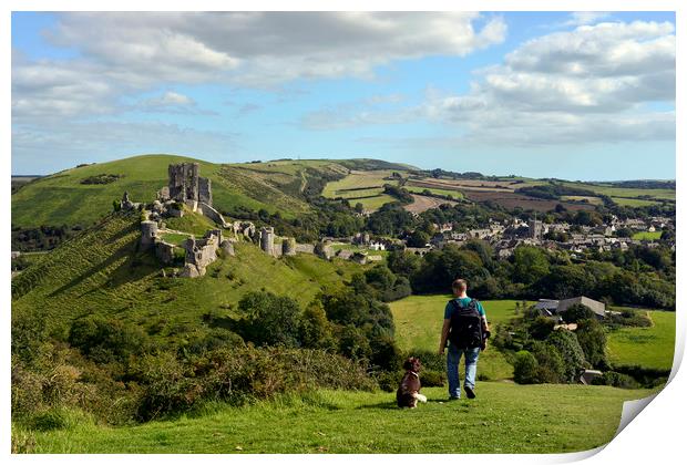 Dog walking in the hills by Corfe castle  Print by Shaun Jacobs