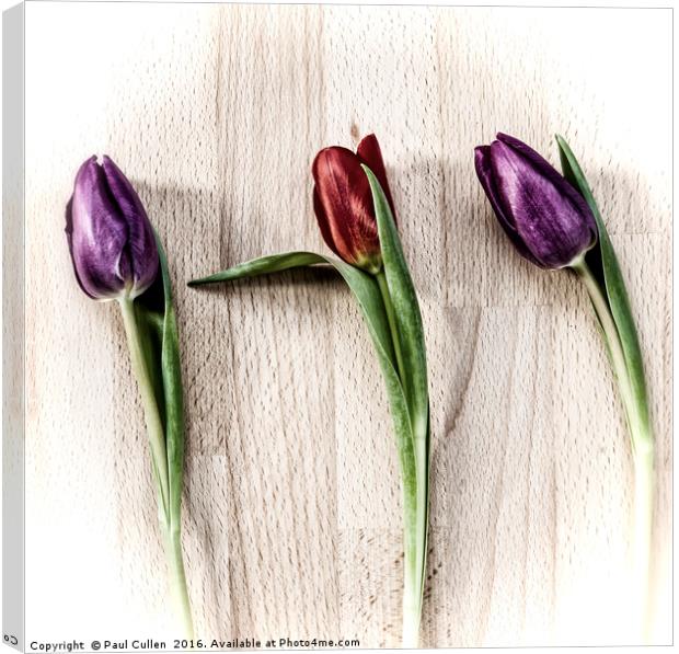 Tulips on wooden board. Canvas Print by Paul Cullen
