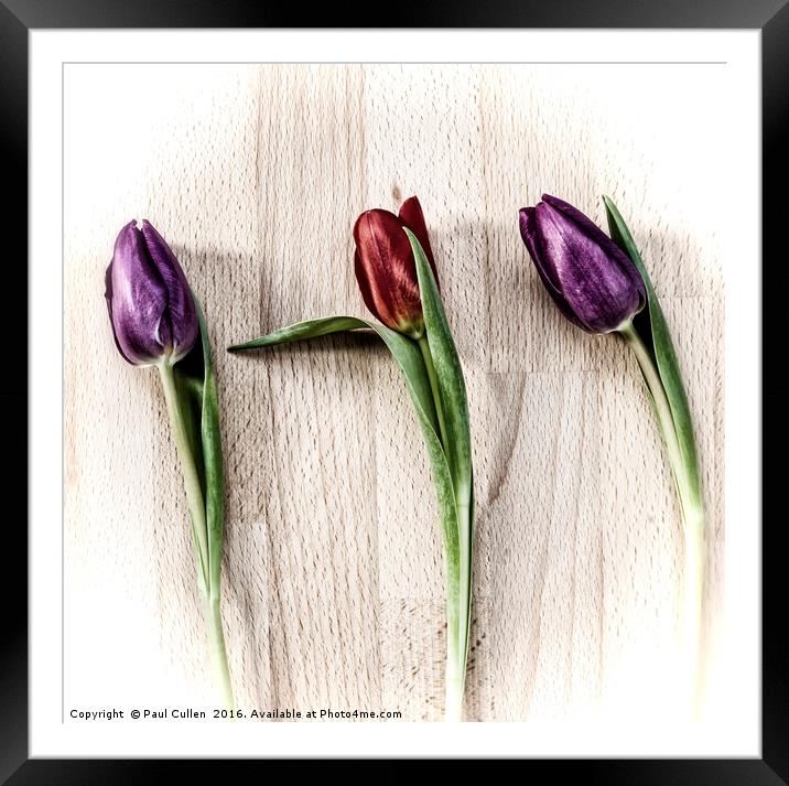 Tulips on wooden board. Framed Mounted Print by Paul Cullen