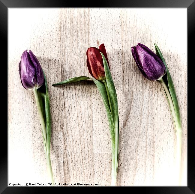 Tulips on wooden board. Framed Print by Paul Cullen
