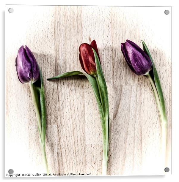 Tulips on wooden board. Acrylic by Paul Cullen