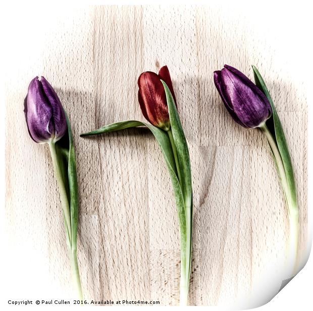 Tulips on wooden board. Print by Paul Cullen