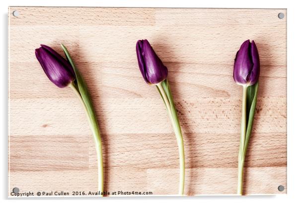 Three Tulips - color Acrylic by Paul Cullen
