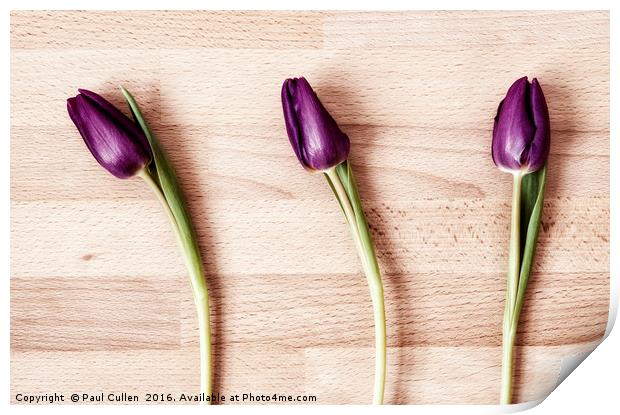 Three Tulips - color Print by Paul Cullen