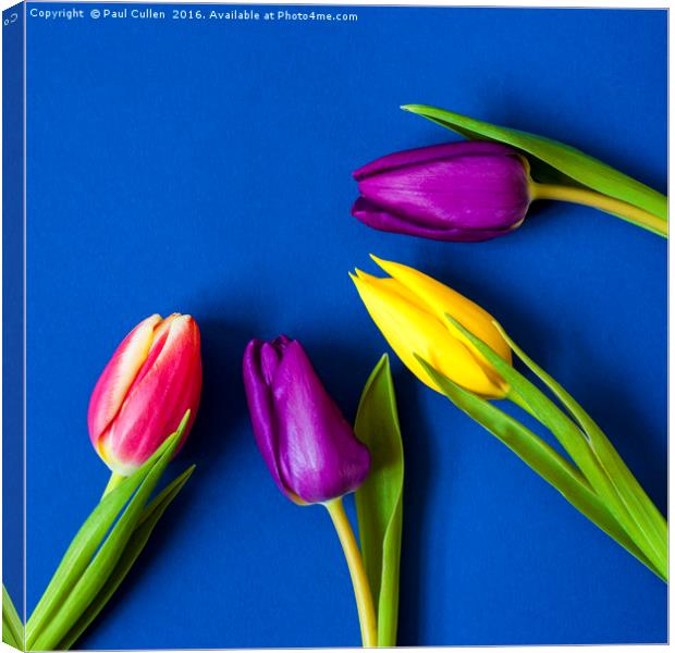 Four Tulips - Vibrant colour - square Canvas Print by Paul Cullen