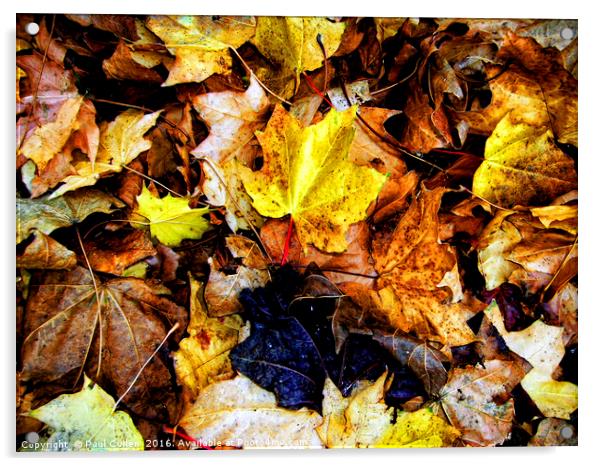 Autumn leaves. Acrylic by Paul Cullen