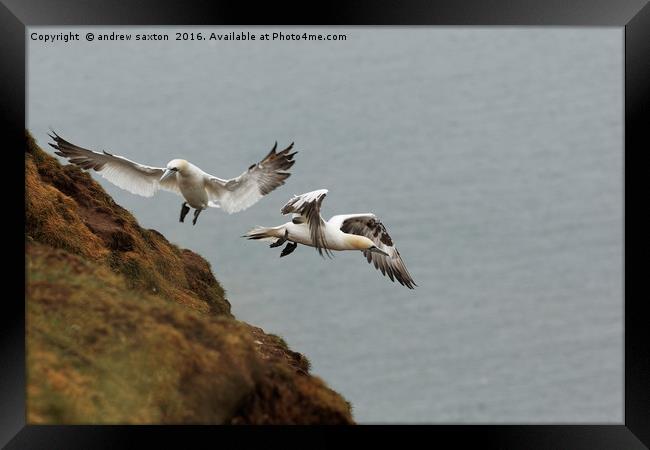 ON AND OFF Framed Print by andrew saxton