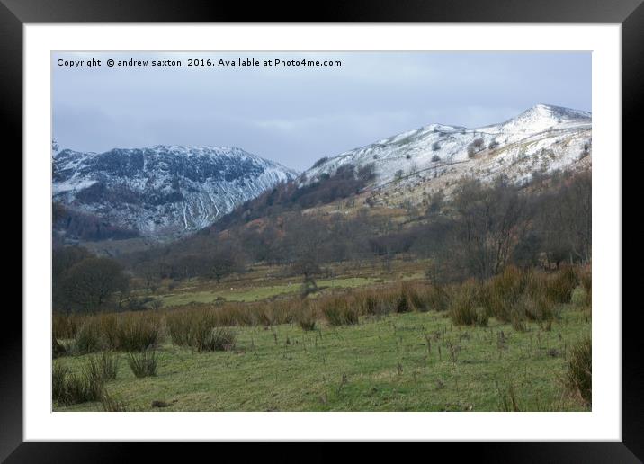 THIN ICEING Framed Mounted Print by andrew saxton