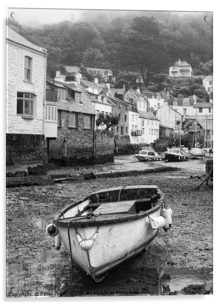 Polperro harbour, Cornwall Acrylic by Peter Towle