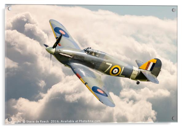 Flying High; Royal Navy Hawker Sea Hurricane. Acrylic by Steve de Roeck