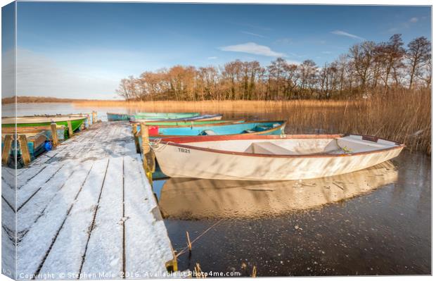 Moored at Filby Broad Canvas Print by Stephen Mole