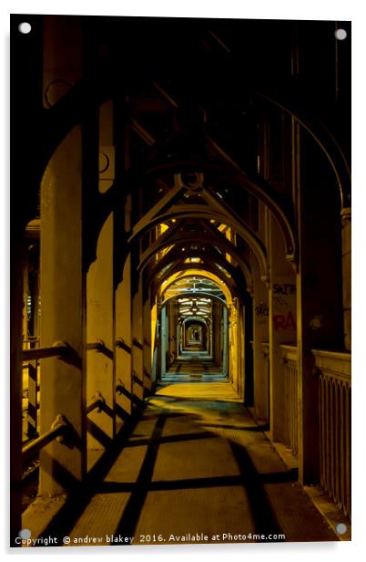 Majestic Nighttime Stroll on the High Level Bridge Acrylic by andrew blakey