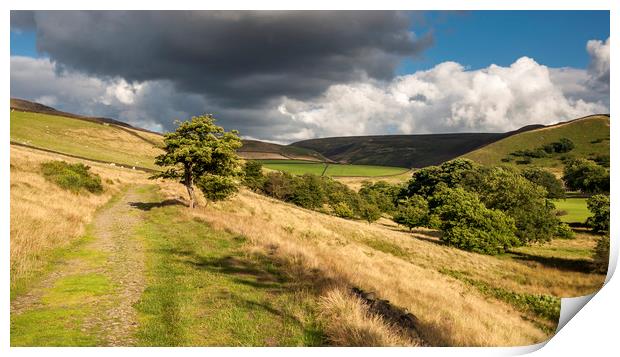 Path to the hills Print by Andrew Kearton