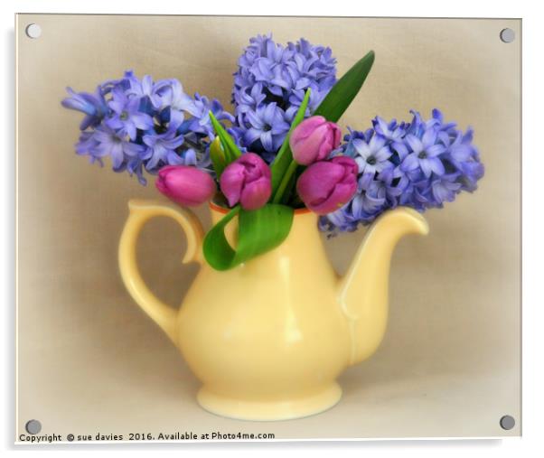 pot of flowers Acrylic by sue davies