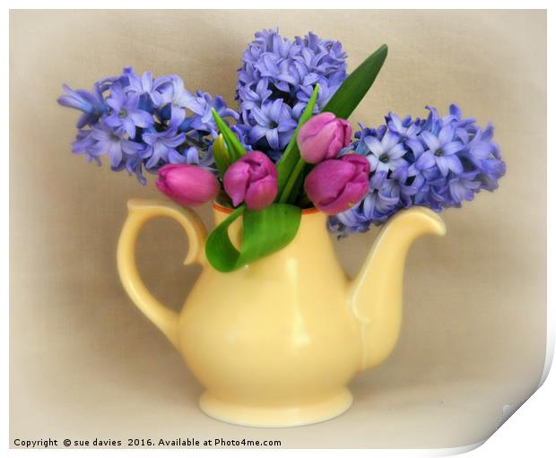 pot of flowers Print by sue davies