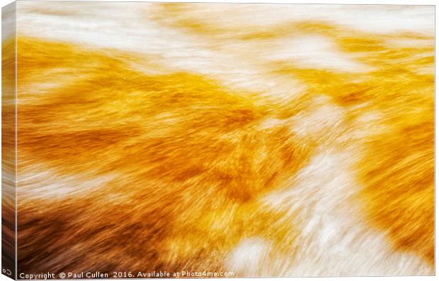 Abstract flow two Canvas Print by Paul Cullen