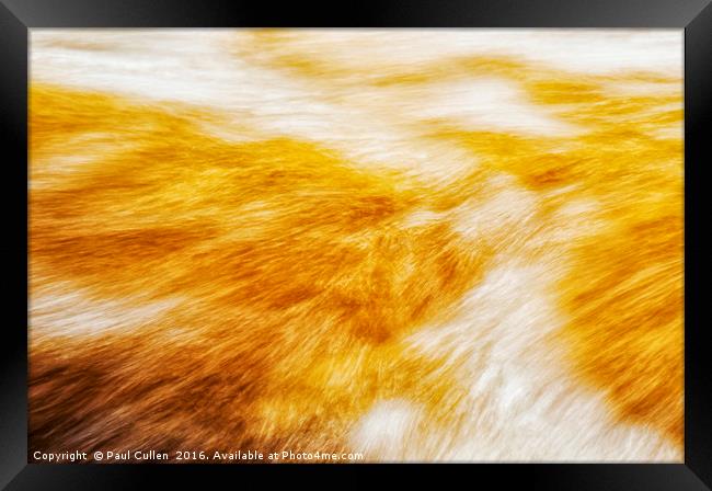 Abstract flow two Framed Print by Paul Cullen