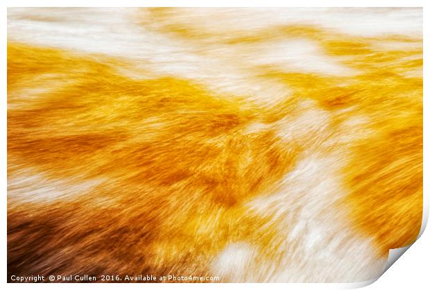 Abstract flow two Print by Paul Cullen