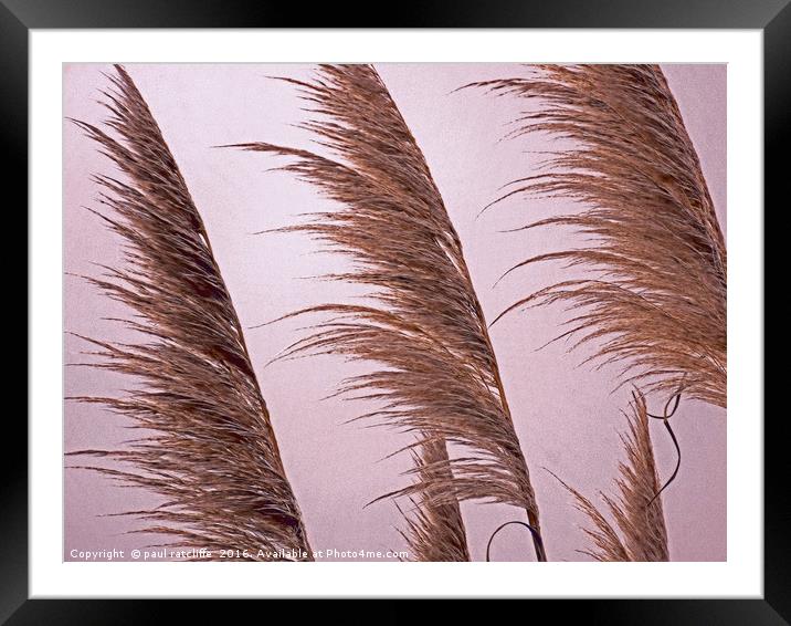 red ferns Framed Mounted Print by paul ratcliffe