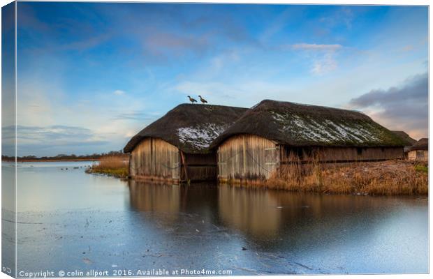 Hickling boathouse Canvas Print by colin allport