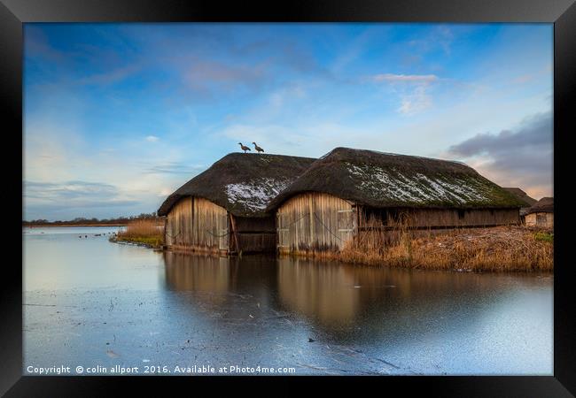 Hickling boathouse Framed Print by colin allport