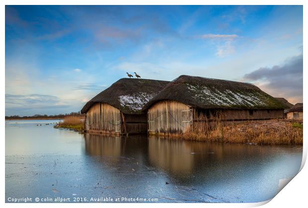 Hickling boathouse Print by colin allport