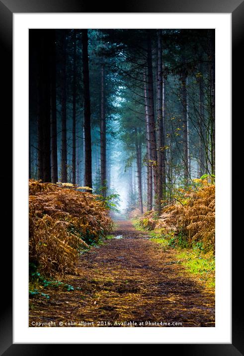Fog in the woods Framed Mounted Print by colin allport