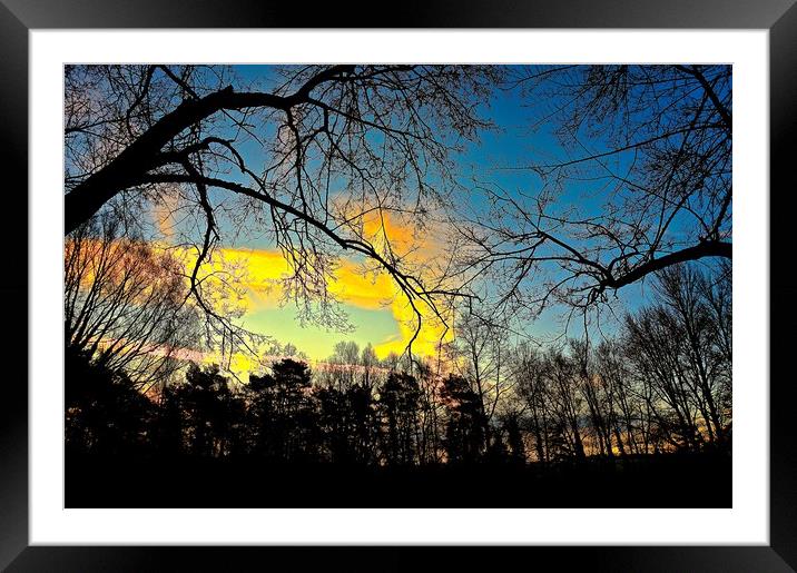 Sunrise through  the trees                         Framed Mounted Print by Sue Bottomley