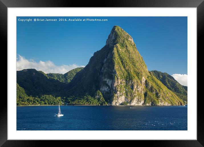 St Lucia Piton Framed Mounted Print by Brian Jannsen