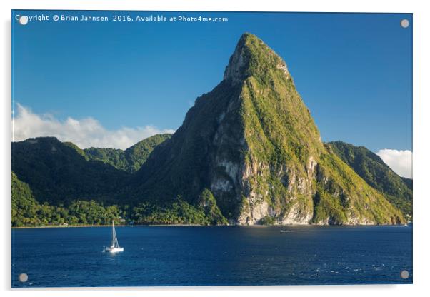 St Lucia Piton Acrylic by Brian Jannsen