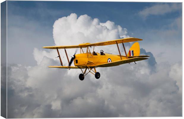 De Havilland DH82 Tiger Moth Canvas Print by J Biggadike