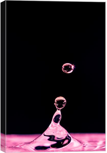 Pink Water Drop Canvas Print by Mick Sadler ARPS
