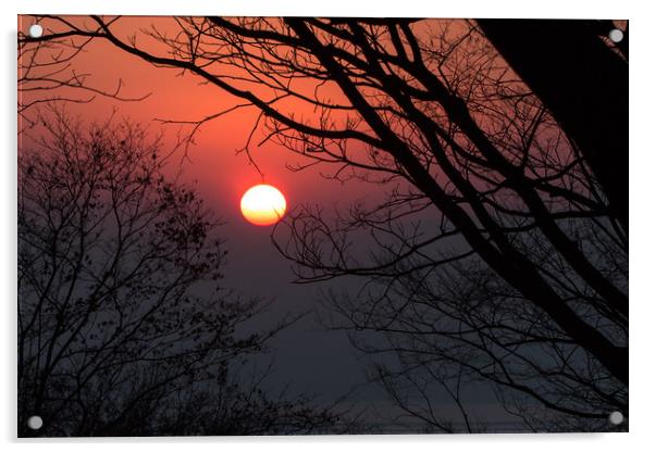 Sunrise among tree Acrylic by Ambir Tolang