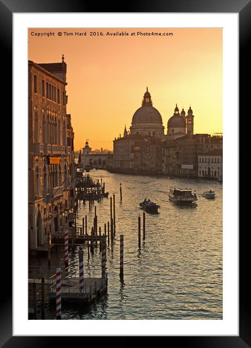 Morning Traffic in Venice Framed Mounted Print by Tom Hard