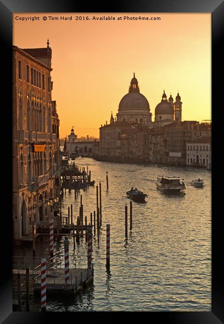 Morning Traffic in Venice Framed Print by Tom Hard