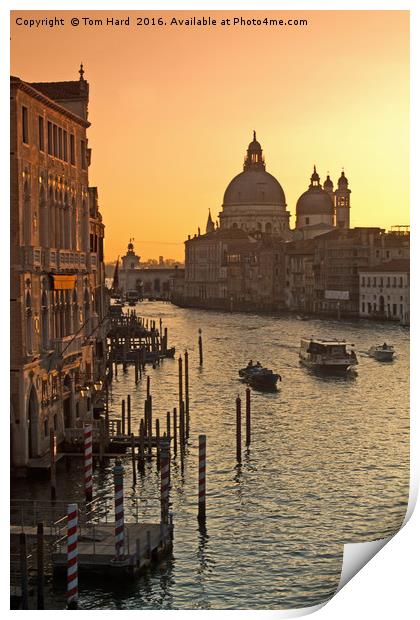 Morning Traffic in Venice Print by Tom Hard