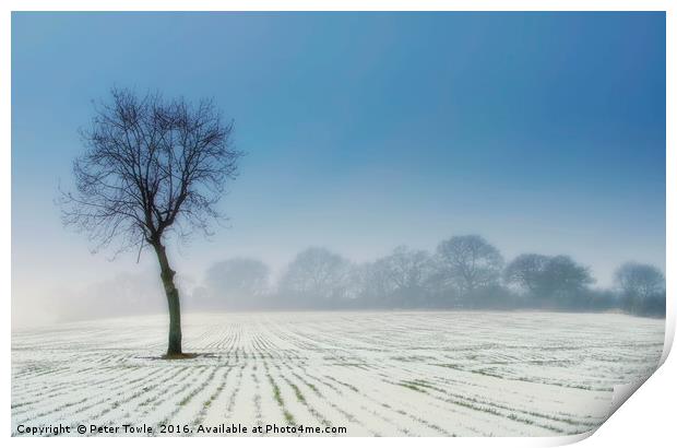 Lone Tree in winter Print by Peter Towle