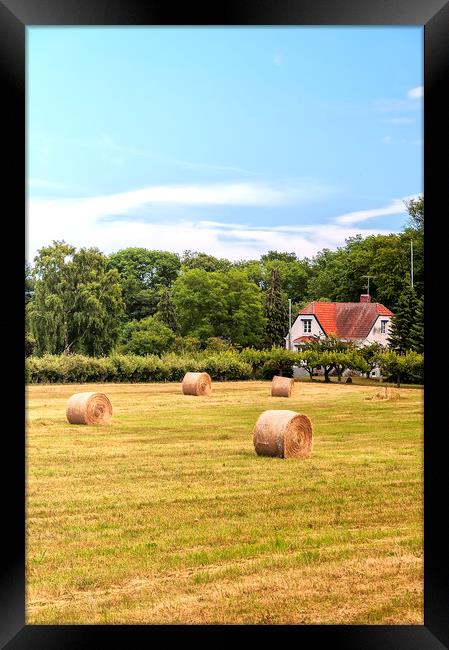 Farmland in Sweden Framed Print by Antony McAulay