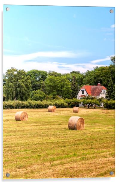 Farmland in Sweden Acrylic by Antony McAulay