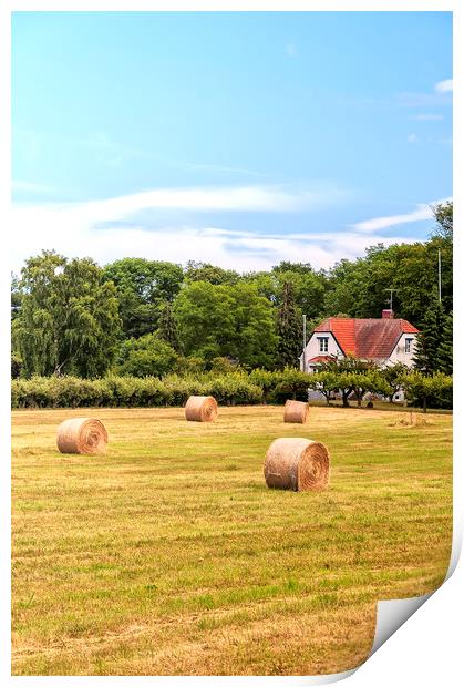 Farmland in Sweden Print by Antony McAulay